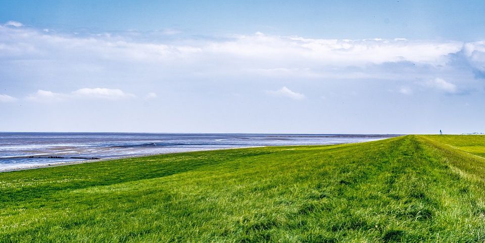 Een brede landschapsfoto van een groene dijk.