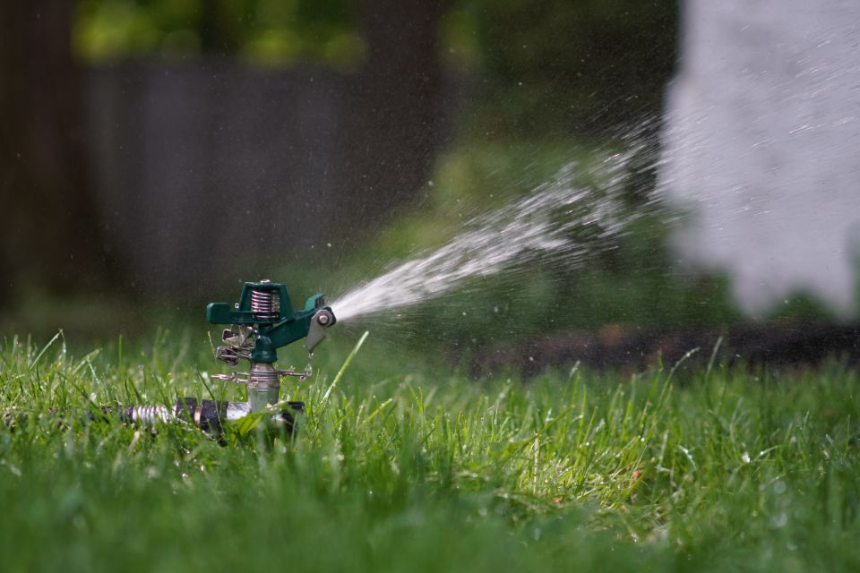 Photo of a sprinkler in a garden.