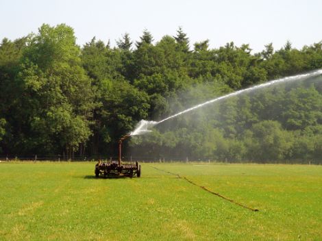 A large sprinkler sprays the grass.
