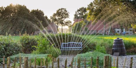 Photo of a garden where a sprinkler is watering the garden.