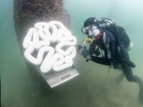 Een foto onder water genomen. Je ziet een duiker en een koraalfragment gemaakt met 3D betonrpinten.